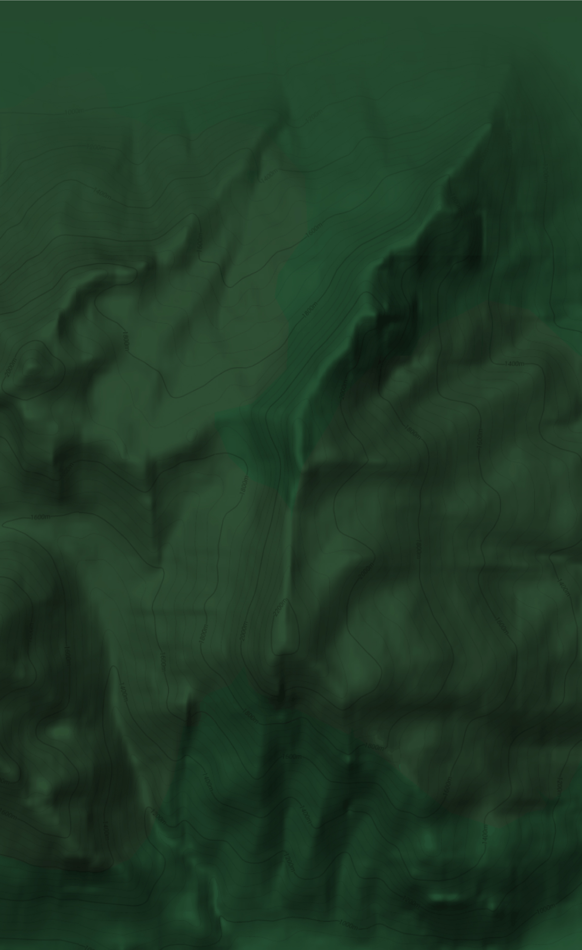 Fondo próximas salidas